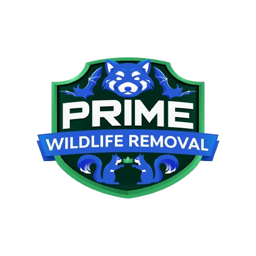 Animal Removal Washington County